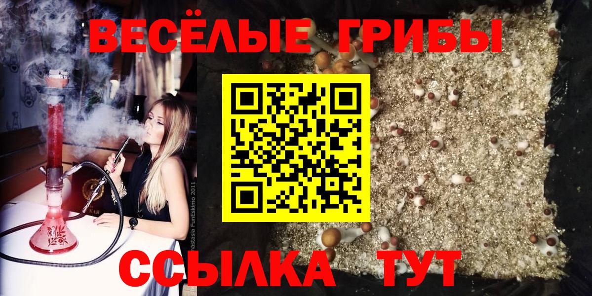 Горно-Алтайск  Псилоцибиновые грибы мицелий  Вход с VPN 